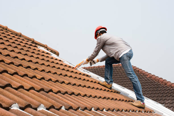 Professional Roofing service in Delaware, OH